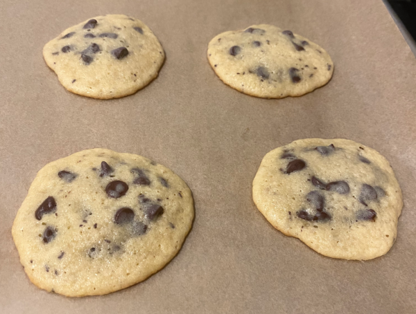 Sourdough Chocolate Chip Cookie